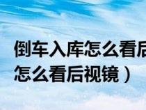 倒车入库怎么看后视镜车身正不正（倒车入库怎么看后视镜）