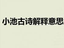 小池古诗解释意思视频（小池古诗解释意思）