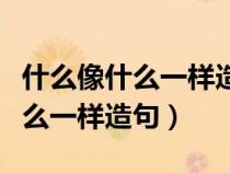 什么像什么一样造句子一年级下册（什么像什么一样造句）