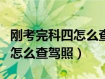 刚考完科四怎么查驾照是否过期（刚考完科四怎么查驾照）