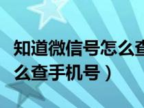 知道微信号怎么查手机号抓包（知道微信号怎么查手机号）