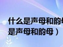 什么是声母和韵母?什么是元音和辅音（什么是声母和韵母）