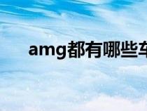 amg都有哪些车型（amg有哪些车型）