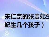 宋仁宗的张贵妃生几个孩子了（宋仁宗的张贵妃生几个孩子）