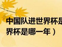 中国队进世界杯是哪一年主教练（中国队进世界杯是哪一年）