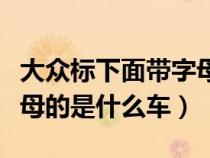 大众标下面带字母是啥车（大众车标下边带字母的是什么车）