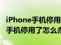 iPhone手机停用了怎么办不用电脑（iPhone手机停用了怎么办）