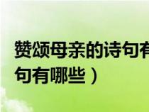 赞颂母亲的诗句有哪些四年级（赞颂母亲的诗句有哪些）