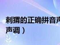 刺猬的正确拼音声调怎么写（刺猬的正确拼音声调）