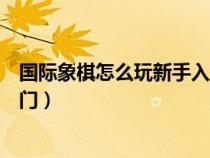 国际象棋怎么玩新手入门视频静音（国际象棋怎么玩新手入门）