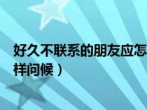 好久不联系的朋友应怎样问候语言（好久不联系的朋友应怎样问候）