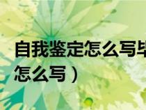 自我鉴定怎么写毕业生登记表（主要学习经历怎么写）