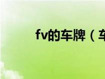 fv的车牌（车牌fv代表什么意思）