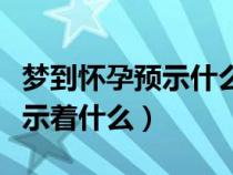 梦到怀孕预示什么意思周公解梦（梦到怀孕预示着什么）