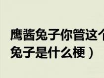 鹰酱兔子你管这个叫发展中国家小说（鹰酱和兔子是什么梗）