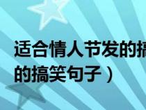 适合情人节发的搞笑句子说说（适合情人节发的搞笑句子）