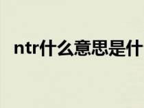 ntr什么意思是什么梗（ntr是什么意思梗）