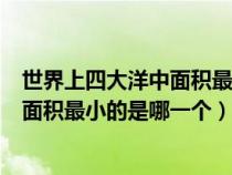 世界上四大洋中面积最小的一个是哪一个（世界上四大洋中面积最小的是哪一个）