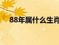 88年属什么生肖的?多大（88年属什么）