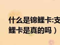 什么是锦鲤卡:支付宝锦鲤是什么（支付宝锦鲤卡是真的吗）