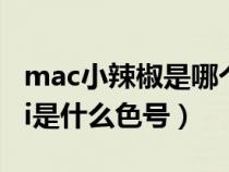 mac小辣椒是哪个色号好看（mac小辣椒chili是什么色号）