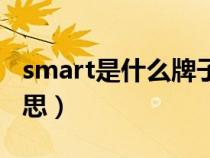 smart是什么牌子的车（汽车smart是什么意思）