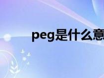 peg是什么意思（pet是什么意思）