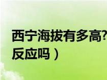 西宁海拔有多高?（西宁市海拔多少米,有高原反应吗）