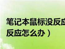 笔记本鼠标没反应是什么原因（笔记本鼠标没反应怎么办）