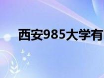 西安985大学有哪些（985大学有哪些）