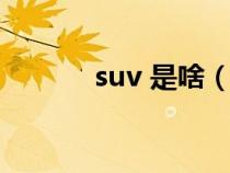 suv 是啥（suv是什么含义车）