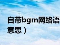 自带bgm网络语什么意思（bgm网络语什么意思）