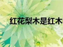 红花梨木是红木吗（红花梨是什么木头）