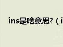 ins是啥意思?（ins是什么意思网络用语）