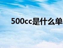 500cc是什么单位（500cc是什么意思）