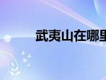 武夷山在哪里的（武夷山在哪里）