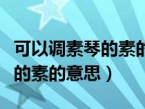 可以调素琴的素的意思是什么词（可以调素琴的素的意思）