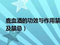 鹿血酒的功效与作用禁忌和食用方法（鹿血酒的功效与作用及禁忌）