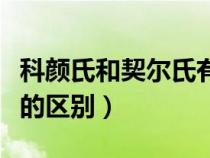 科颜氏和契尔氏有什么区别（契尔氏和科颜氏的区别）