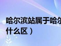 哈尔滨站属于哈尔滨的哪个区（哈尔滨站属于什么区）