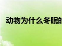 动物为什么冬眠的原因（动物为什么冬眠）