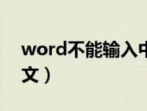 word不能输入中文符号（word不能输入中文）