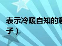 表示冷暖自知的意思成语（表达冷暖自知的句子）