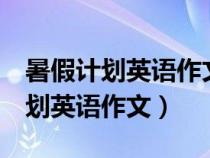 暑假计划英语作文5句六年级带翻译（暑假计划英语作文）