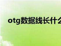 otg数据线长什么样（otg数据线是什么）