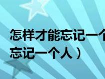 怎样才能忘记一个人放下一段感情（怎样才能忘记一个人）