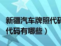 新疆汽车牌照代码有哪些字母（新疆汽车牌照代码有哪些）