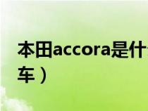 本田accora是什么车（本田accord是哪一款车）