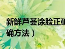 新鲜芦荟涂脸正确方法步骤（新鲜芦荟涂脸正确方法）