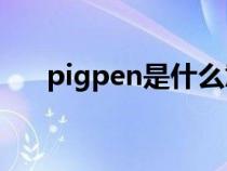 pigpen是什么意思（Pig是什么意思）